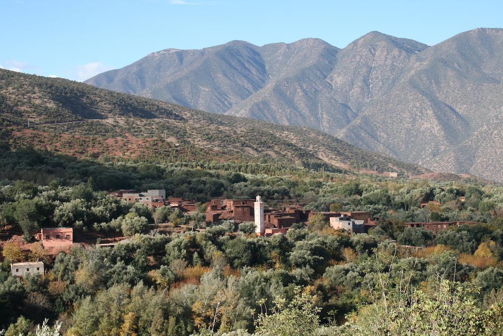 Kasbah Africa Bed & Breakfast Ouirgane Eksteriør bilde